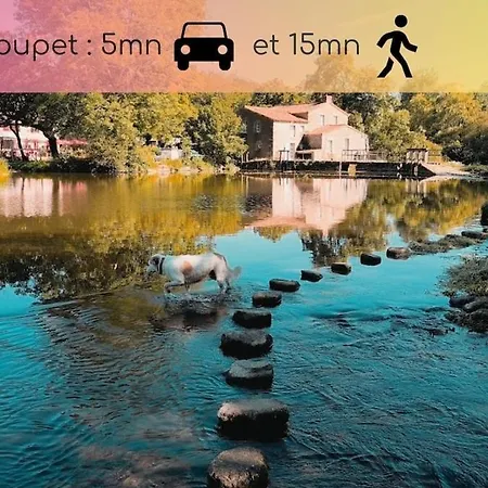 Le Grand Zig - Petit Déjeuner, Piscine, 10mn Du Parc *